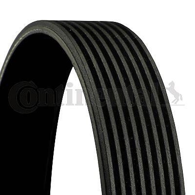 CONTITECH 8PK2440 V-ribbed belt suitable for MERCEDES-BENZ S-Class Saloon (W140)  2440mm, 8