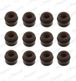 PAYEN HR280 Seal Set, valve stem/طقم كوتشوكة صباب M50 M51 M52 M60 M62/ 6MM