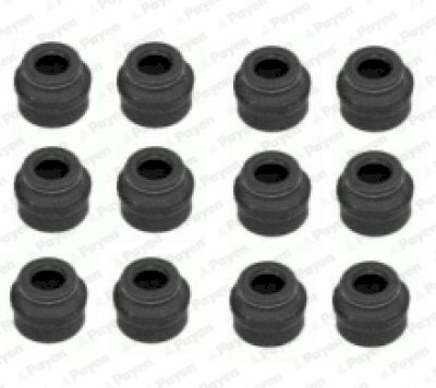 PAYEN HR662 Seal Set, valve stem  FPM (fluoride rubber)/طقم كوتشوكة صباب M20 M70/7MM